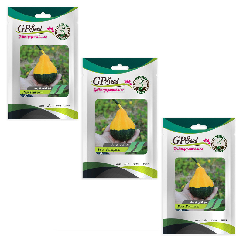 بذر کدو گلابی دو رنگ گلبرگ پامچال کد GPF-308 مجموعه 3 عددی
