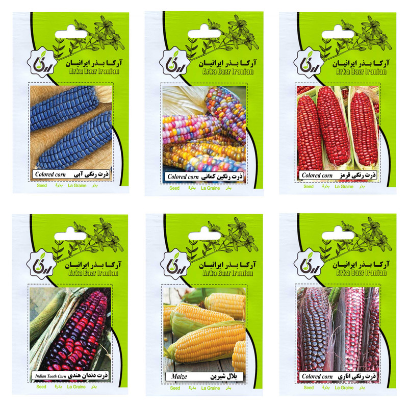 بذر ذرت همه رنگ آرکا بذر ایرانیان کد ARK-A-ARK-06 وزن 100 گرم مجموعه 6 عددی