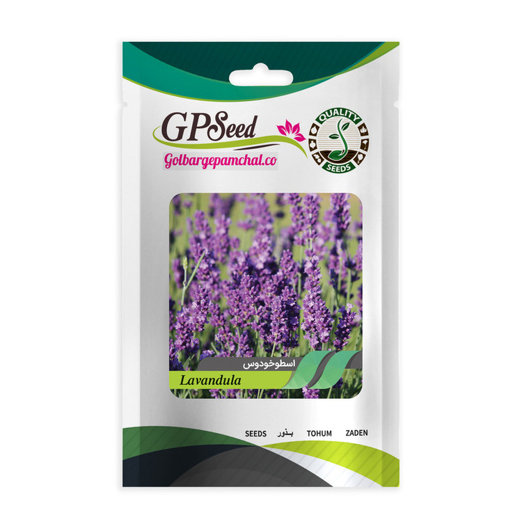 بذر گیاهان دارویی پرمصرف گلبرگ پامچال کد G-P-GP-05 مجموعه 5 عددی