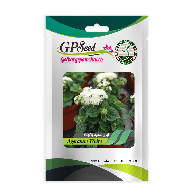 بذر ابری سفید الوان گلبرگ پامچال کد GPF-173