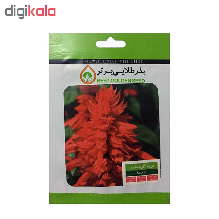 بذر گل مریم گلی ( سلوی ) بذر طلایی برتر کد BZT-18