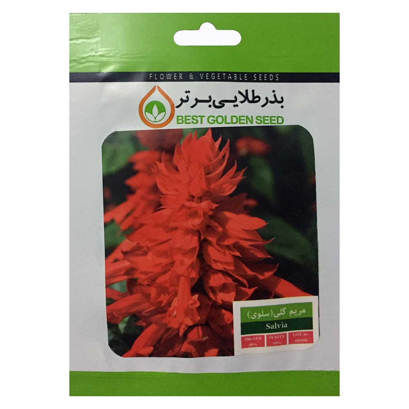 بذر گل مریم گلی ( سلوی ) بذر طلایی برتر کد BZT-18