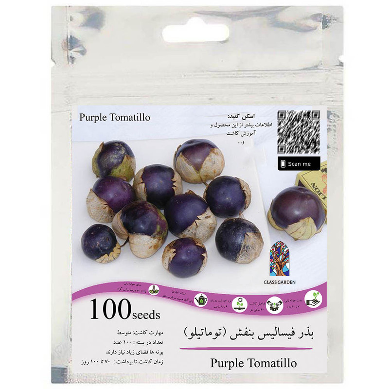 بذر فیسالیس بنفش گیلاس زمینی توماتیلو گلس گاردن مدل GL100