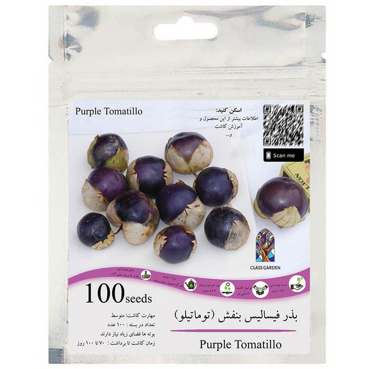 بذر فیسالیس بنفش گیلاس زمینی توماتیلو گلس گاردن مدل GL100