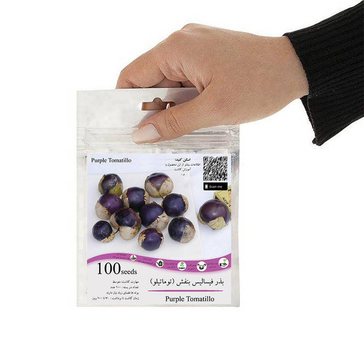 بذر فیسالیس بنفش گیلاس زمینی توماتیلو گلس گاردن مدل GL100
