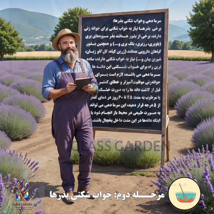 بذر گوجه فرنگی قرمز کالجی کال جی گلس گاردن مدل GL50