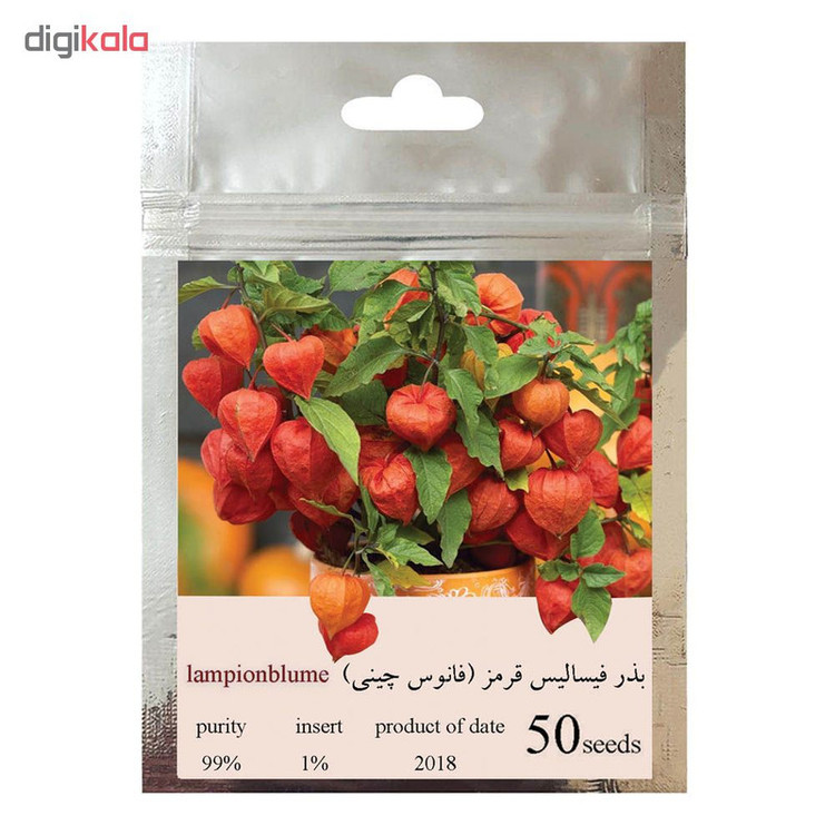 بذر فیسالیس قرمز فانوس چینی کد 001
