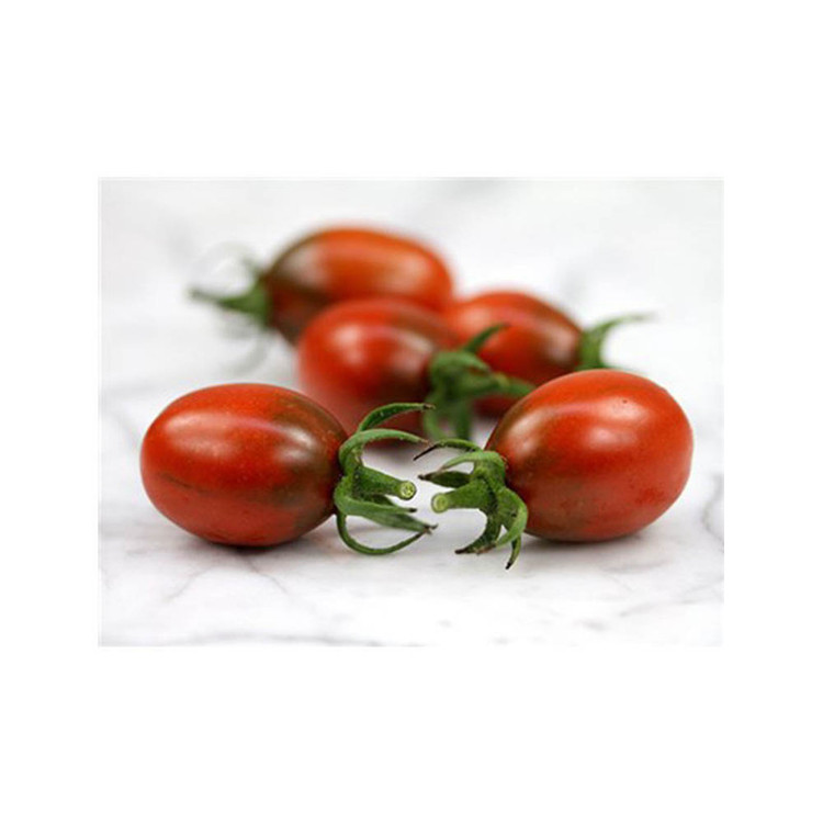 بذر گوجه بلک سوپر سوئیت گوجه قهوه ای گلس گاردن مدل GL10