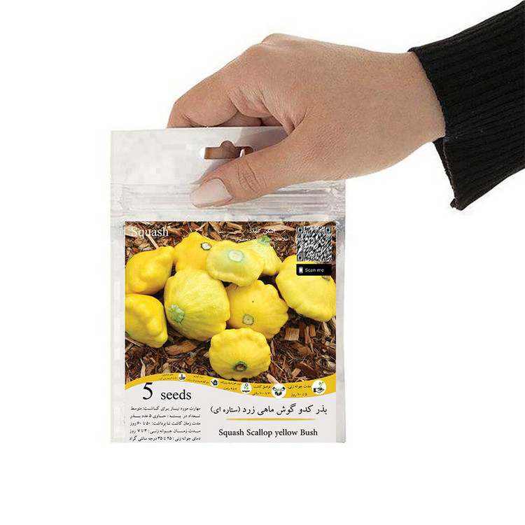 بذر کدو گوش ماهی کدو ستاره ای زرد گلس گاردن مدل GL05