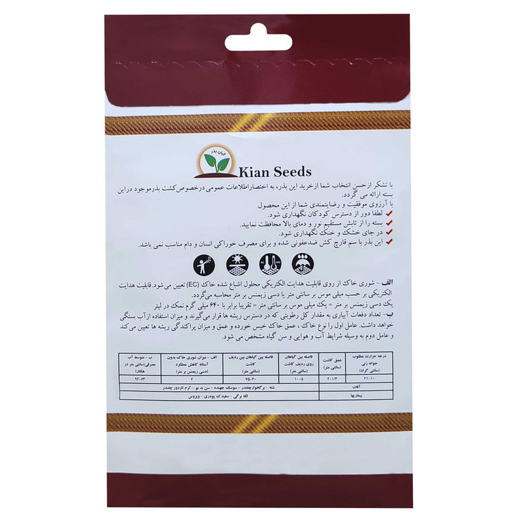 بذر چغندر لبویی کیان بذر کد KBZ-32
