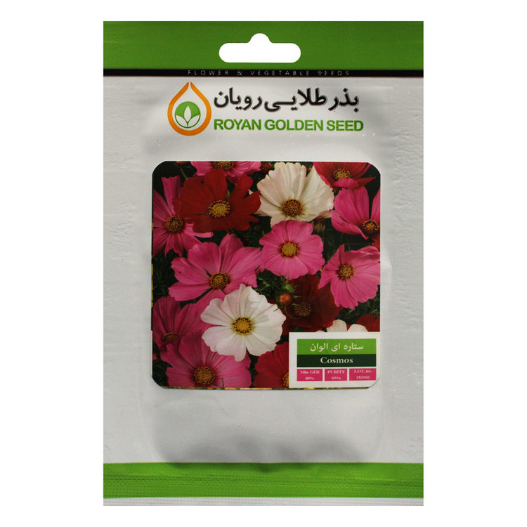 بذر گل ستاره ای الوان بذر طلایی رویان کد BZTR-019