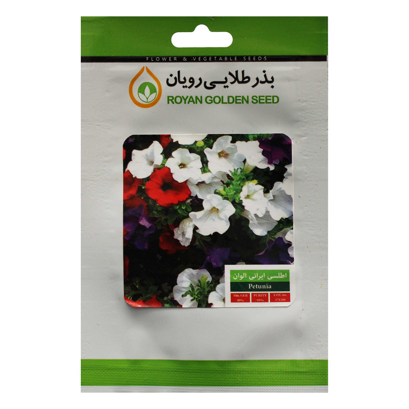 بذر گل اطلسی ایرانی الوان بذر طلایی رویان کد BZTR-007