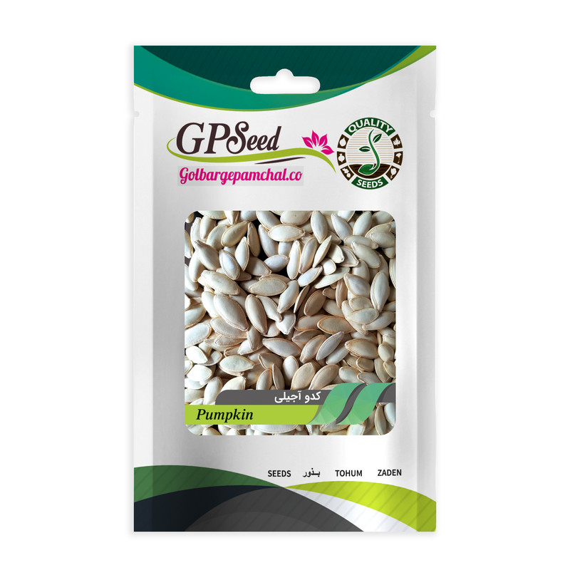 بذر کدو آجیلی جی پی سید مدل GP2371