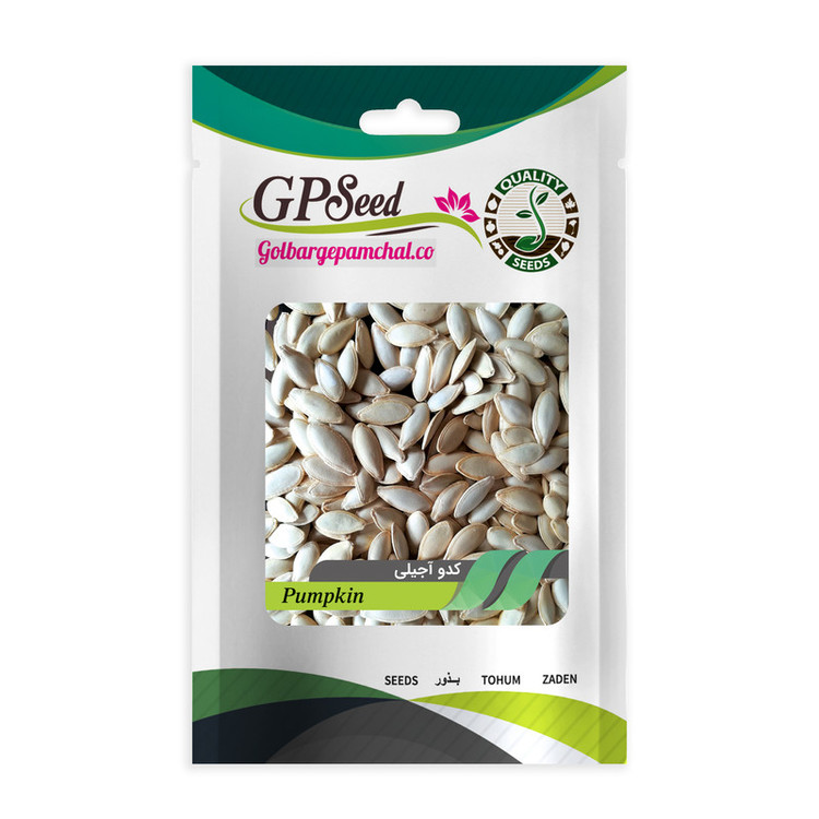 بذر کدو آجیلی جی پی سید مدل GP2371