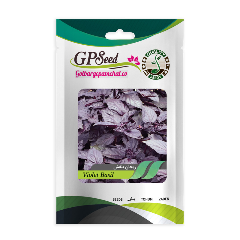 بذر ریحان بنفش جی پی سید مدل GP1156
