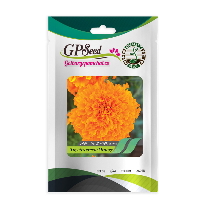 بذر گل جعفری پا کوتاه نارنجی جی پی سید مدل GP13096