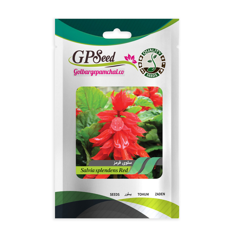 بذر گل سلوی قرمز جی پی سید مدل GP475