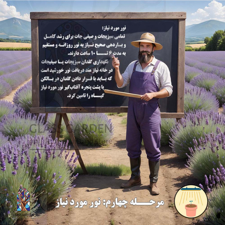 بذر گوجه فرنگی قرمز ریوگراند گلس گاردن مدل GL50