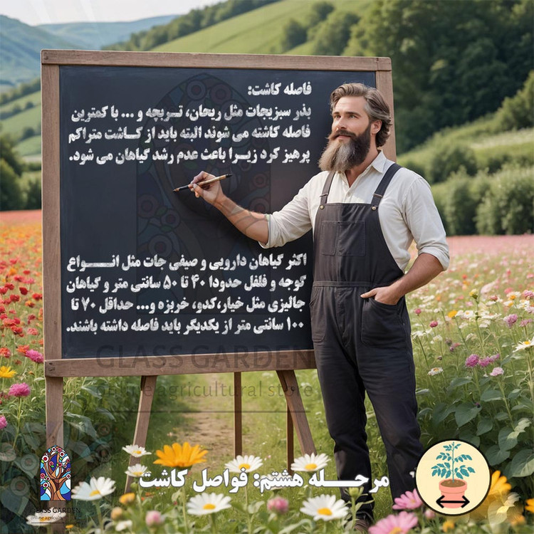 بذر گوجه فرنگی قرمز ریوگراند گلس گاردن مدل GL50
