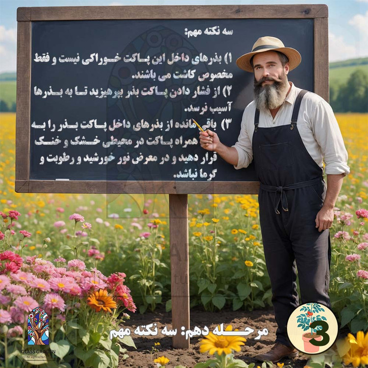 بذر گوجه فرنگی قرمز ریوگراند گلس گاردن مدل GL50