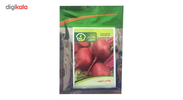 بذر چغندر لبویی پاکان بذر مدل PBF-37