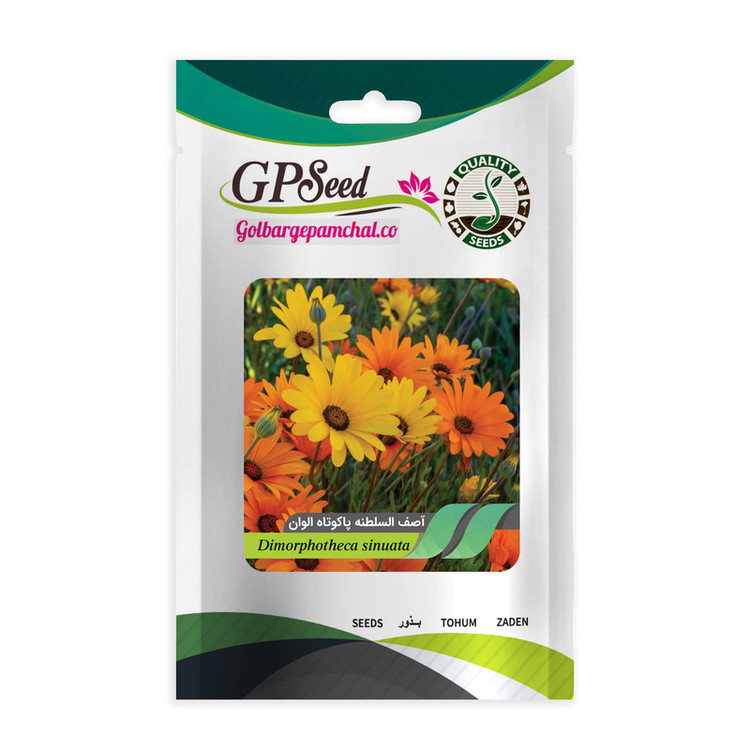 بذر گل آصف السلطنه الوان جی پی سید مدل GP7846