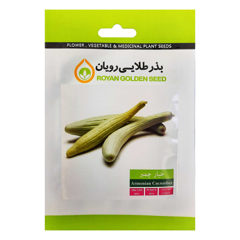 بذر خیار چمبر بذر طلایی رویان مدل BZTR-054