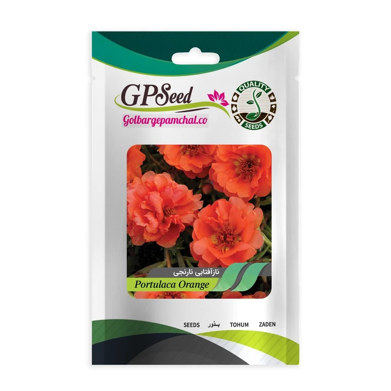 بذر گل ناز آفتابی نارنجی جی پی سید مدل GP13191