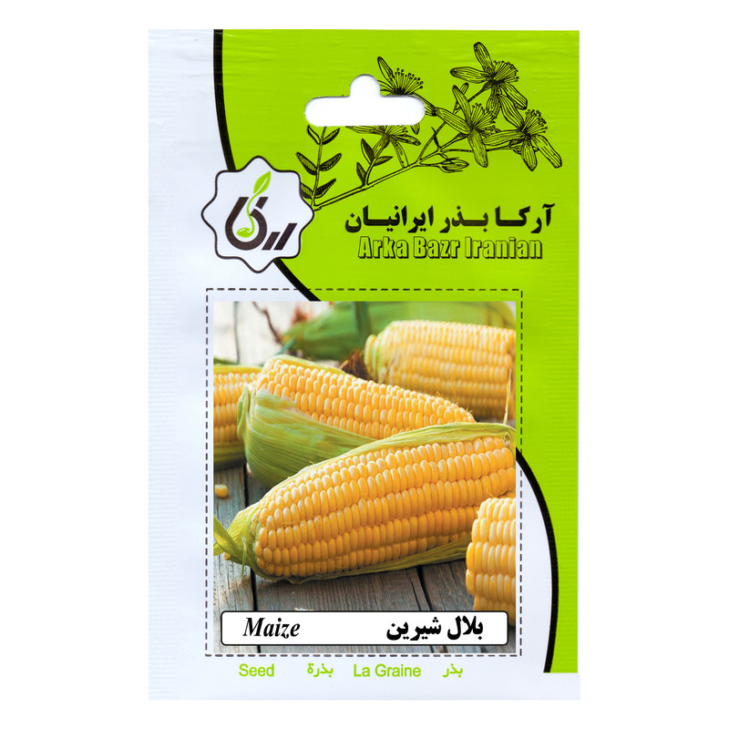 بذر بلال شیرین  آرکا بذر ایرانیان مدل B33