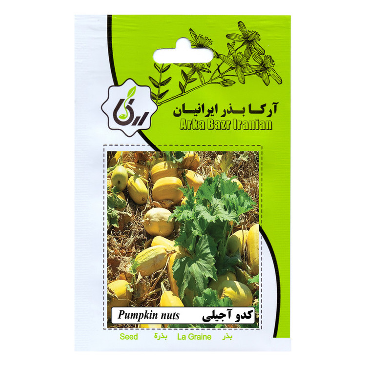بذر کدو اجیلی آرکا بذر ایرانیان مدل B120