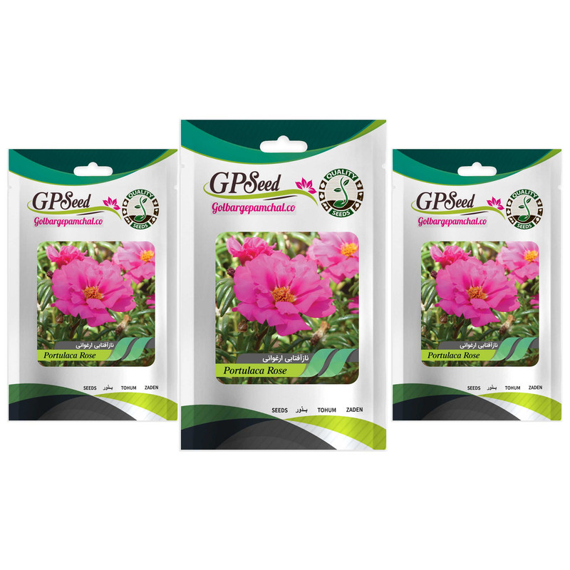 بذر گل ناز آفتابی ارغوانی گلدانی گلبرگ پامچال کد GPF-274 مجموعه 3 عددی