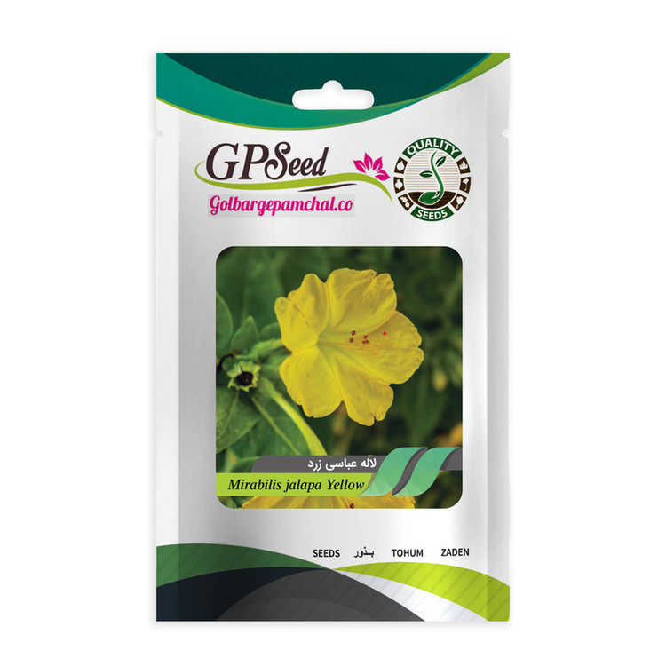 بذر گل لاله عباسی زرد گلبرگ پامچال کد GPF-266