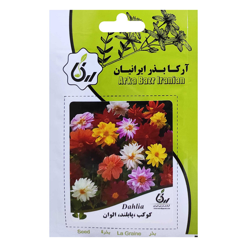بذر کوکب پابلند الوان آرکا بذر ایرانیان کد ARK-047