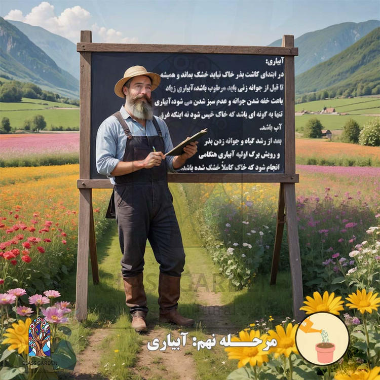 بذر کلم قمری سبز کلم سنگی گلس گاردن مدل GL50