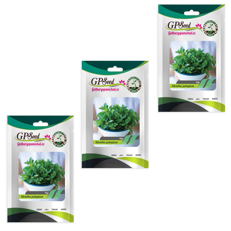 بذر پونه گلبرگ پامچال کد GPF-303 مجموعه 3 عددی