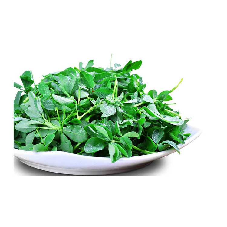 بذر شنبلیله گرین فارم کد SHNB-12 بسته 2 عددی