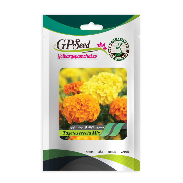 بذر گل جعفری همه رنگ گلدانی گلبرگ پامچال کد G-P-GP-08 مجموعه 8 عددی