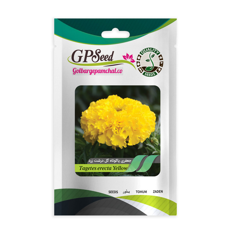 بذر گل جعفری همه رنگ گلدانی گلبرگ پامچال کد G-P-GP-08 مجموعه 8 عددی