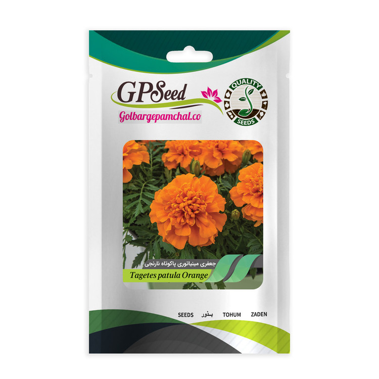 بذر گل جعفری همه رنگ گلدانی گلبرگ پامچال کد G-P-GP-08 مجموعه 8 عددی