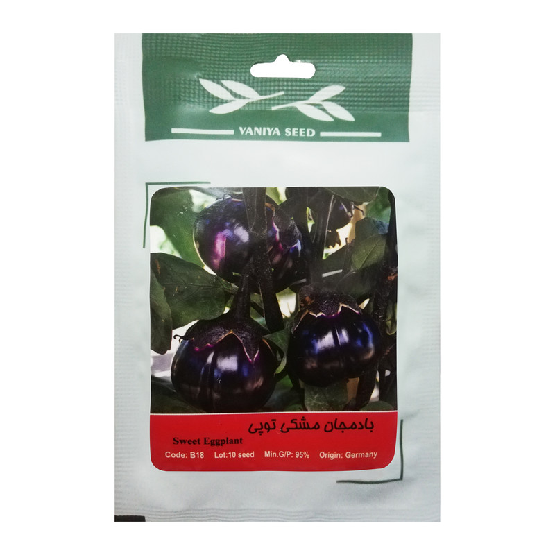 بذر بادمجان مشکی توپی وانیا سید مدل B18