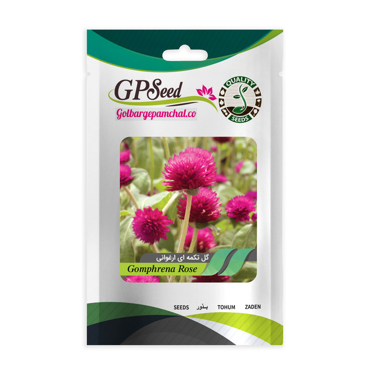 بذر گل تکمه ای ارغوانی گلبرگ پامچال کد GPF-263