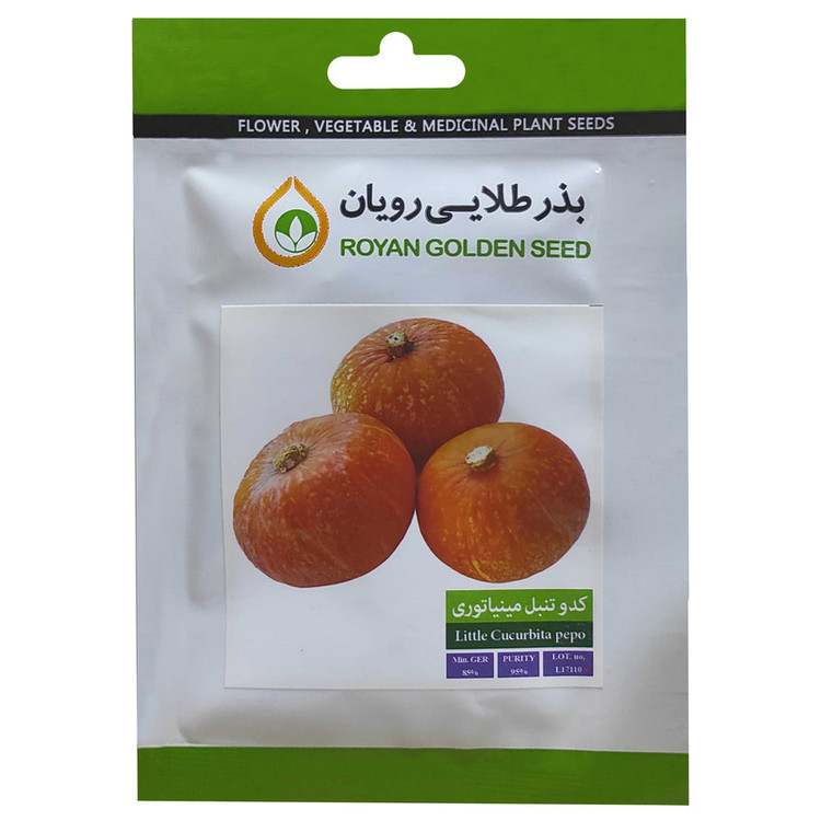 بذر کدو تنبل مینیاتوری بذر طلایی رویان کد BZT-147