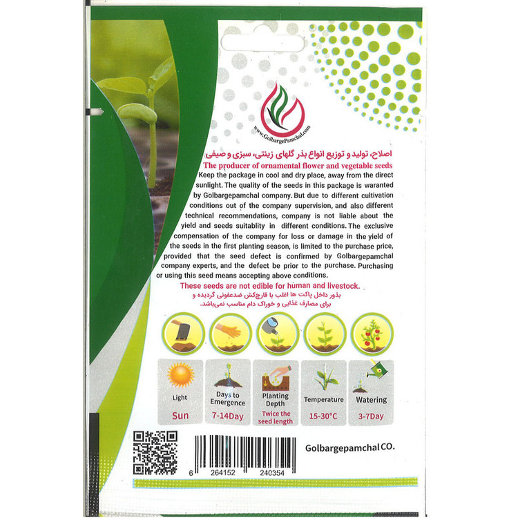 بذر هویج رسمی جی پی سید مدل GP11541
