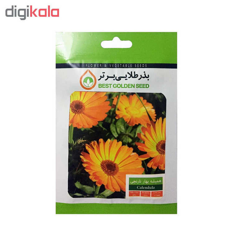 بذر گل همیشه بهار نارنجی بذر طلایی برتر کد BZT-38