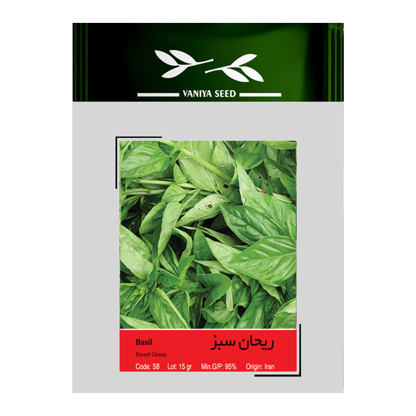 بذر ریحان سبز وانیا سید کد S8