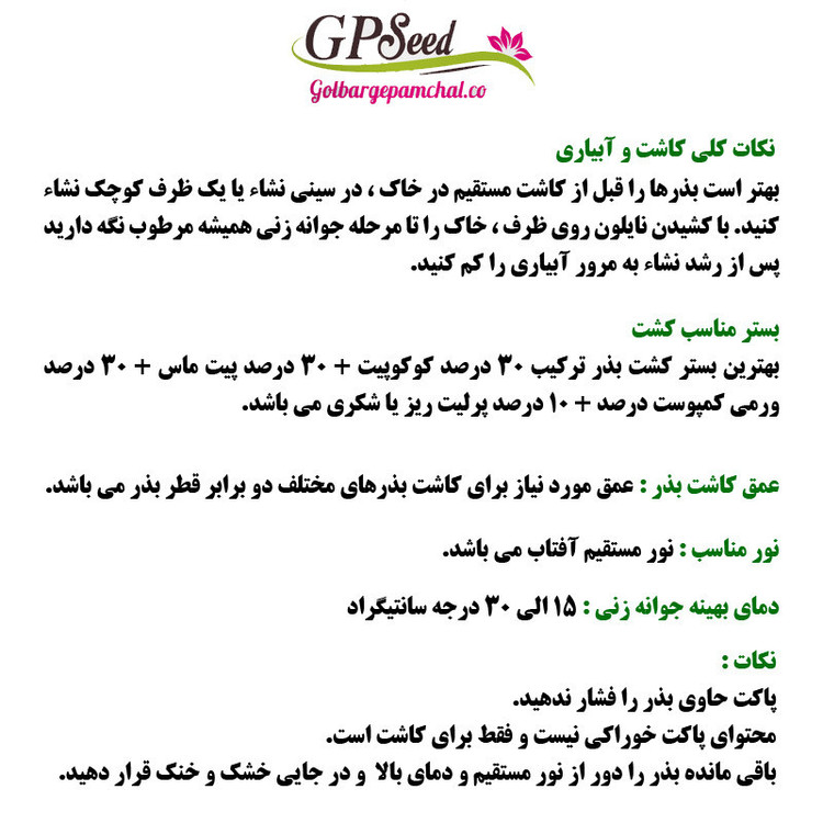 بذر گوجه چری زرد جی پی سید مدل GP7626