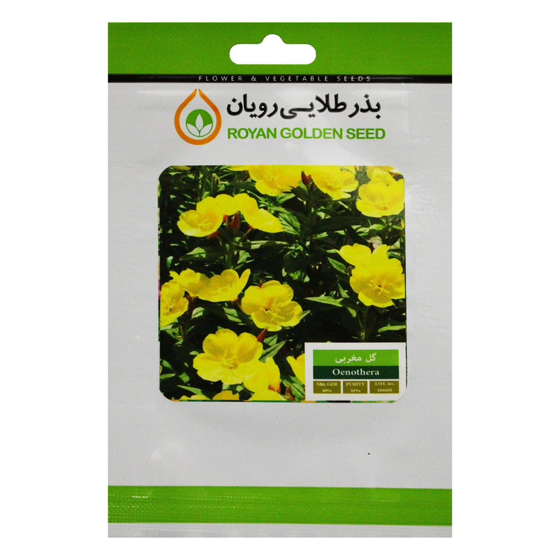 بذر گل مغربی بذر طلایی رویان کد BZTR-035