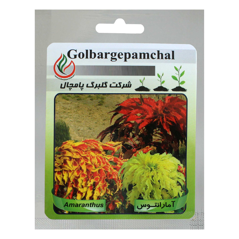 بذر گل آمارانتوس گلبرگ پامچال کد GPF-010