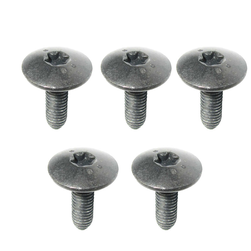 پیچ سپر جلو و جلو پنجره خودرو قطعه سازان کبیر مدل PICH-206-3010222 مناسب برای پژو 206 مجموعه 5 عددی