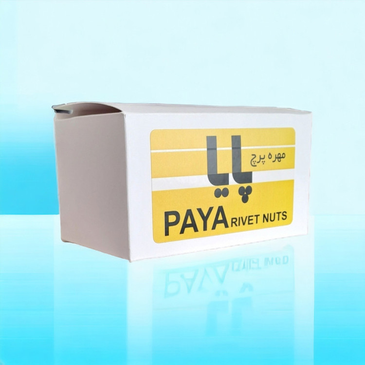 مهره پرچ پایا مدل لبه دار M6 کد PAYA69 مجموعه 30 عددی